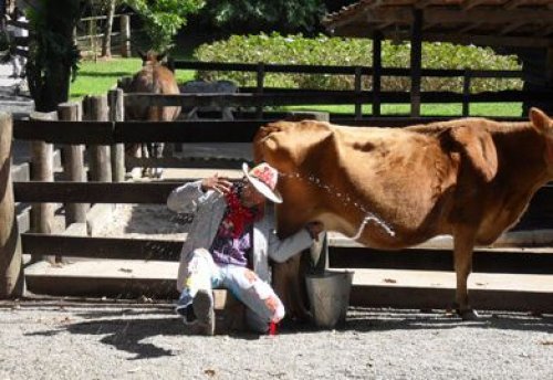 Pet Zoo - Mini-fazenda traz diversas atividades nas férias para toda a familia