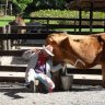 Pet Zoo - Mini-fazenda traz diversas atividades nas férias para toda a familia