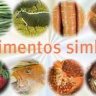 ASHKENAZIM: SIMANIM do Seder de Rosh Hashaná : Confira os Alimentos Simbólicos da Festa e muito mais