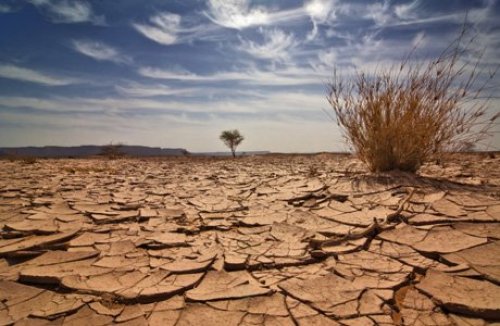 Seca e falta de chuva em Israel é motivo de Jejum e reza especial hoje em Israel