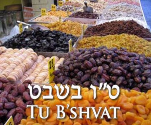 Tu BiShvat - o Ano Novo das Arvores! Veja como é Celebrado o dia 15 de Shevat