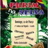 Festa de Purim na Selva com o Mishcan Menachem