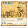 Pessach Kasher Ve'Sameach no O Shil - Beit Chabad Itaim