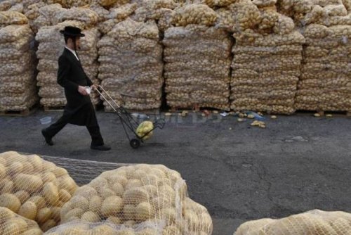 Imagem do dia: Véspera de Pessach em Jerusalém: Batatas, Batatas, Batatas e Mais Batatas...