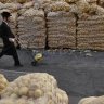 Imagem do dia: Véspera de Pessach em Jerusalém: Batatas, Batatas, Batatas e Mais Batatas...