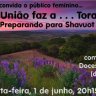 Binyan Olam - Publico Feminino: A União Faz a Torah - Preparando para Shavuot