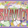 KOSHERMAP BRASIL Deseja a toda a Comunidade Judaica - Shavuot 2011 Kasher Ve'Sameach | Horários de Acendimento das Velas de Yom Tov!