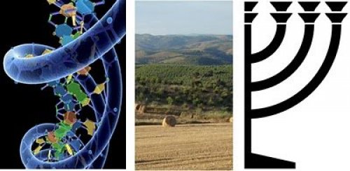 CIÊNCIA - Estudo Genético Confirma Origem Geográfica dos Judeus