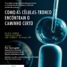 Instituto Weizmann: Como as Células-Tronco Encontram o Caminho Certo