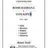 Beit Chabad Perdizes: Guia "Comemorando Rosh Hashaná e Yom Kipur 5773-2012"