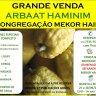 RESERVE: Grande Venda de ARBAAT HAMINIM na Congregação Mekor Haim