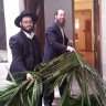 Preparativos de Sucot: A Primeira Suca do Novo Beit Chabad da Barra Funda