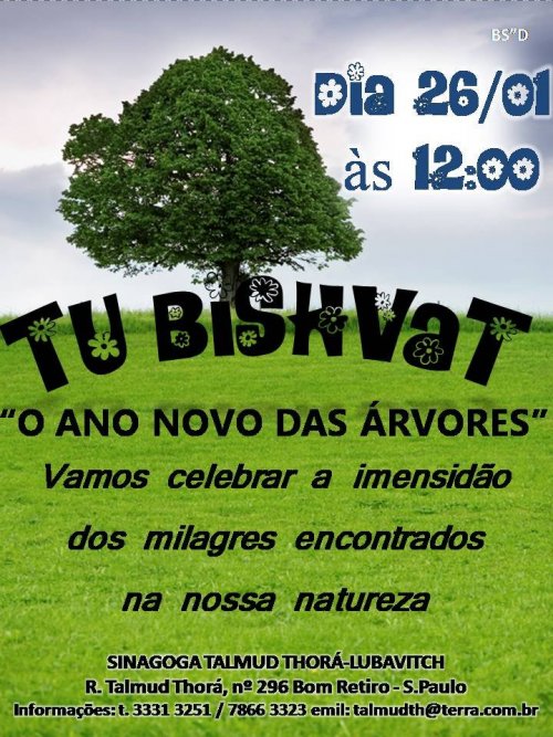 Tu Bishvat 5773 é Neste Shabat - Comemore no Talmud Thorá Lubavitch no Bom Retiro