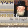 Yachad: O Rebe - Guimel Tamuz, com o R. Ari Schapiro, Seguido de Saladas, Sopa e Sobremesas Chalavi