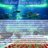 Beit Chabad Vila Mariana: Shabat Experience 6