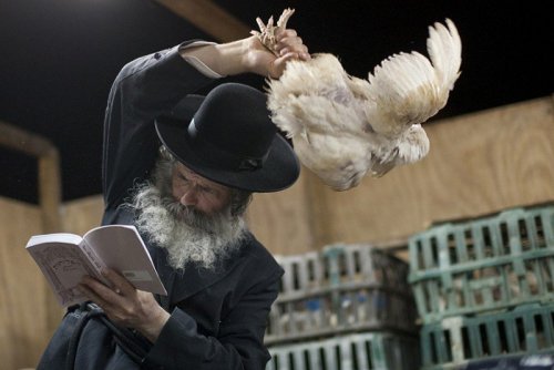 Caparot 5774 na Yeshivá Lubavitch