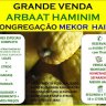 Grande Venda de Arbaat Haminim 2013 na Mekor Haim - Apenas Nesta Segunda e Terça - 16 e 17 de Setembro de 2013