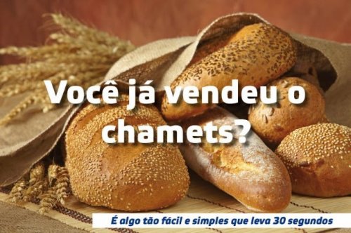 Procuração de Venda do Chametz para Pessach 2014 - 5774