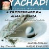 Grupo Feminino Yachad: A Preciosidade da Alma Judaica, com Peggy Pasternak,com Jantar Chalavi