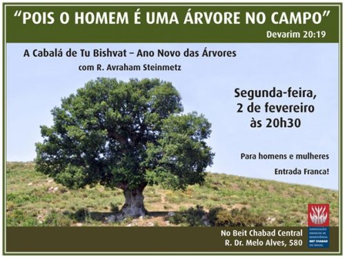 A Cabalá de Tu Bishvat, com o R. Avraham Steinmetz