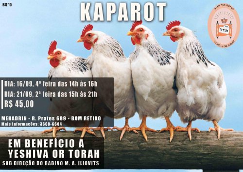 Kaparot em Benefício à Yeshivá Or Torah, no Mehadrin Bom Retiro