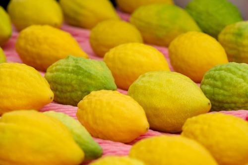 Campanha de Arrecadação de Etroguim para Geléia de Etrog