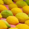 Campanha de Arrecadação de Etroguim para Geléia de Etrog