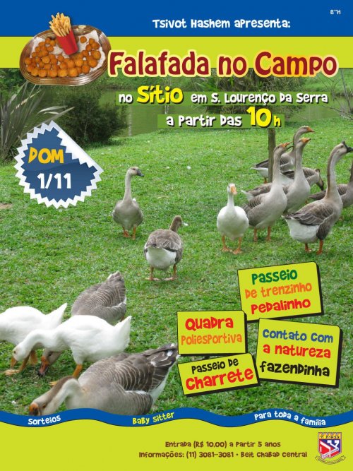 Falafada no Campo, para Famílias, no Sítio Felicidade