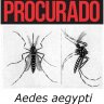 Sociedade Brasileira de Dermatologia Orienta Como se Proteger do Aedes Aegypti