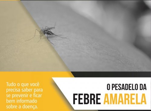 Tudo o que você precisa saber sobre a Febre Amarela, na Shaarei Biná