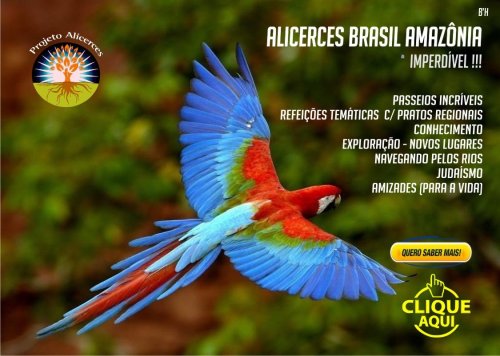 Projeto Alicerces: Aventura pra lá de Especial